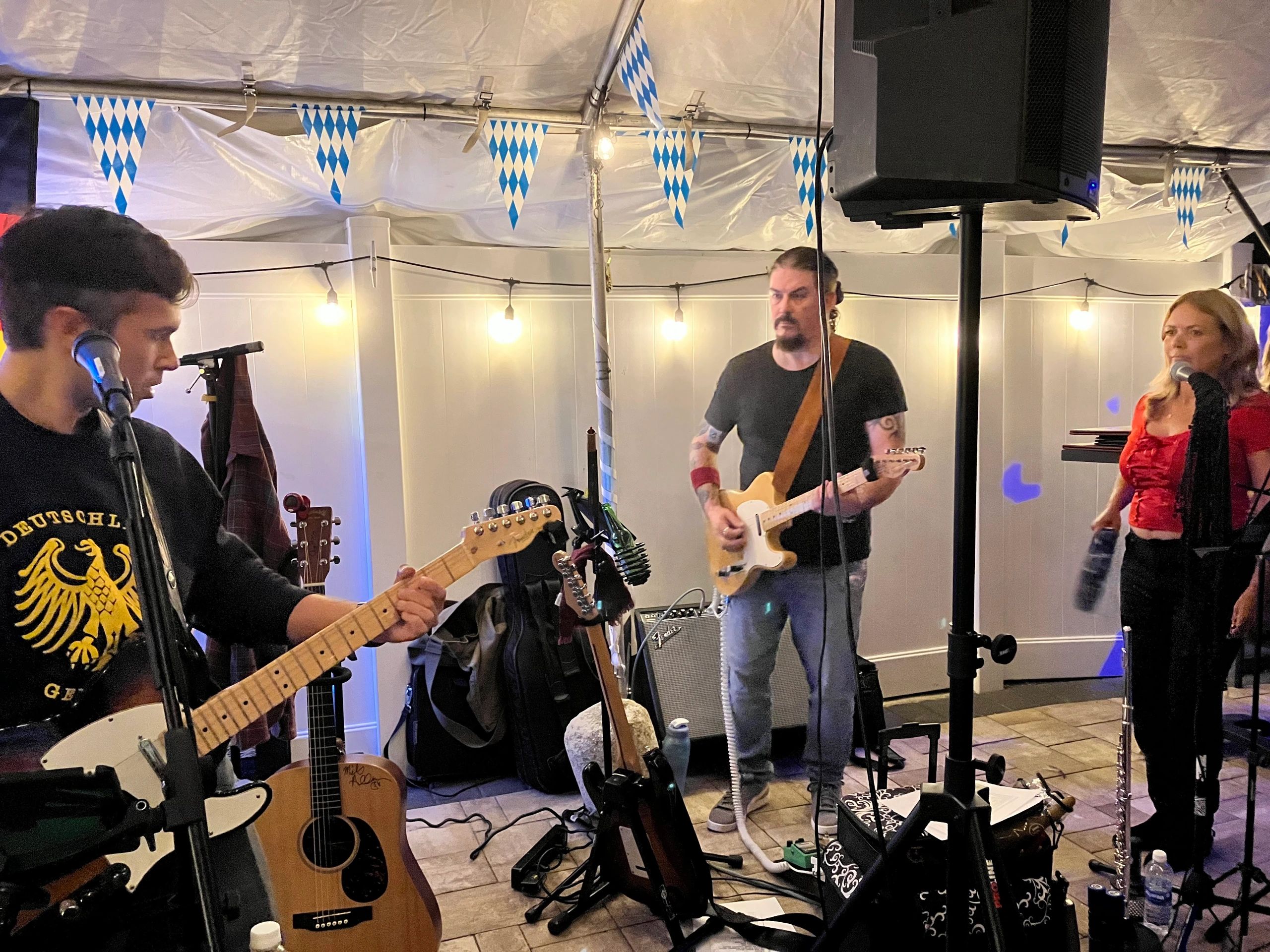 The Desperados performing live on stage